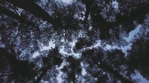 Глубокая медитация Центрирования 1 ступень. МЕДИТАЦИЯ ЗАЗЕМЛЕНИЯ. Медитація Центрування