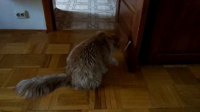 Майкун