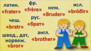 Школа юного лингвиста. Выпуск 10. Секреты слов. Наша семья.