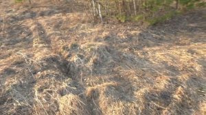 Первый вальдшнеп 2016 ▶ Лучший патрон для ТОЗ-34