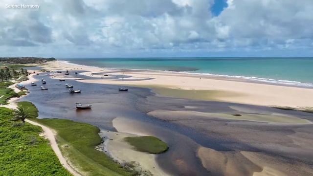 Нежная музыка, успокаивает нервную систему и радует душу - лечебная музыка для сердца и сосудов #26 смотреть онлайн