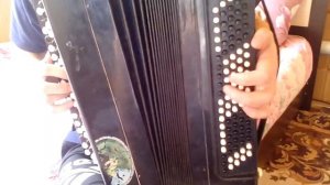 Терминатор на баяне