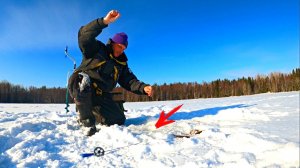 Коза и чёртик творят чудеса! Рыбалка на безмотылку на таёжном озере, весенняя рыбалка 2022 в Карелии