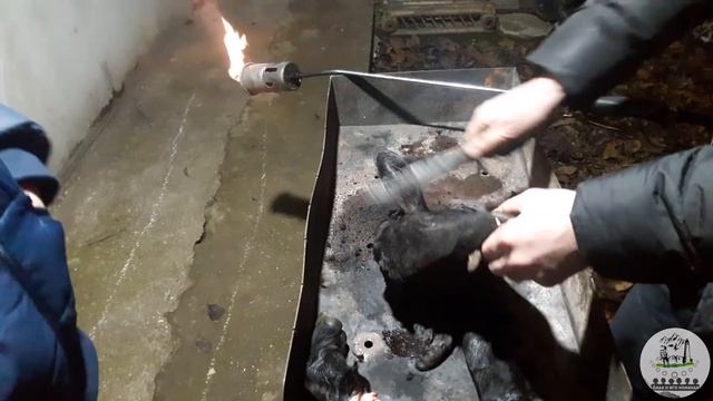 Как опалить голову барана /Корта марсар смотреть онлайн