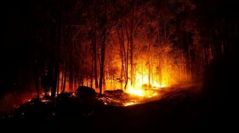 В Рязанской области пожары охватили Окский заповедник.