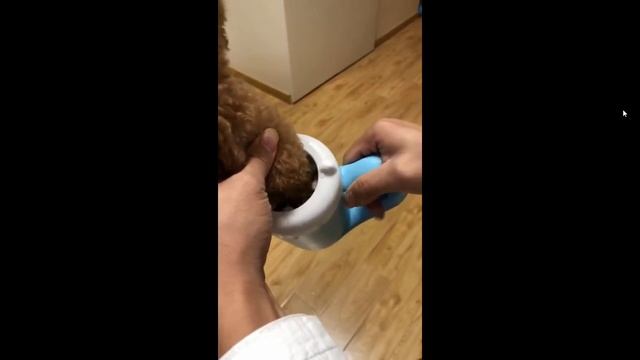 Лапомойка