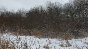 Станция биологической очистки Посейдон.