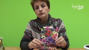 Как вырастить анемоны и ранункулюсы. Сайт "Садовый мир"