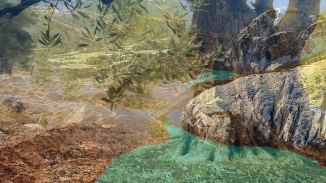 الموسيقى للقطط - الموسيقى والاسترخاء للمساعدة القطط النوم смотреть онлайн