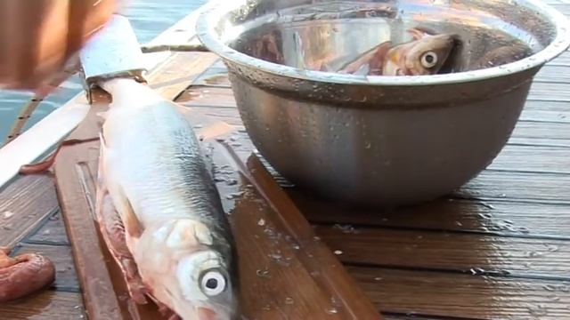 Владимир MASTER Байкал-это сказка! смотреть онлайн