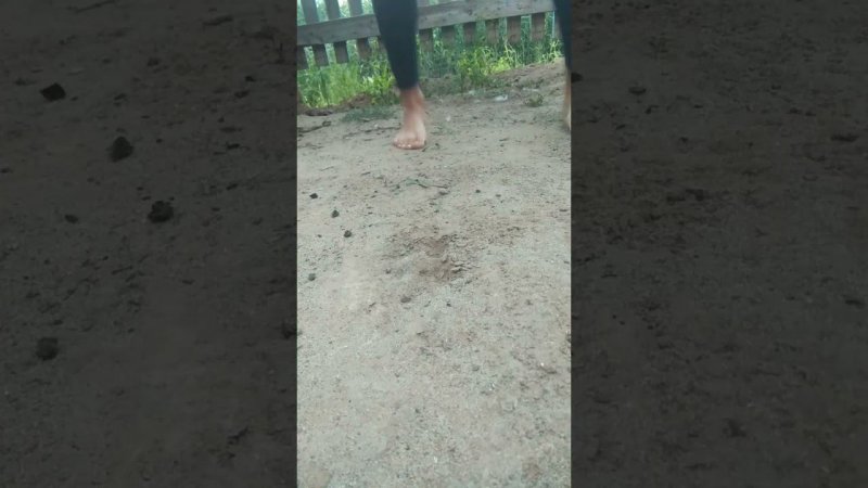 #бегомбосиком //ПРИСОЕДИНЯЙСЯ к челенджу