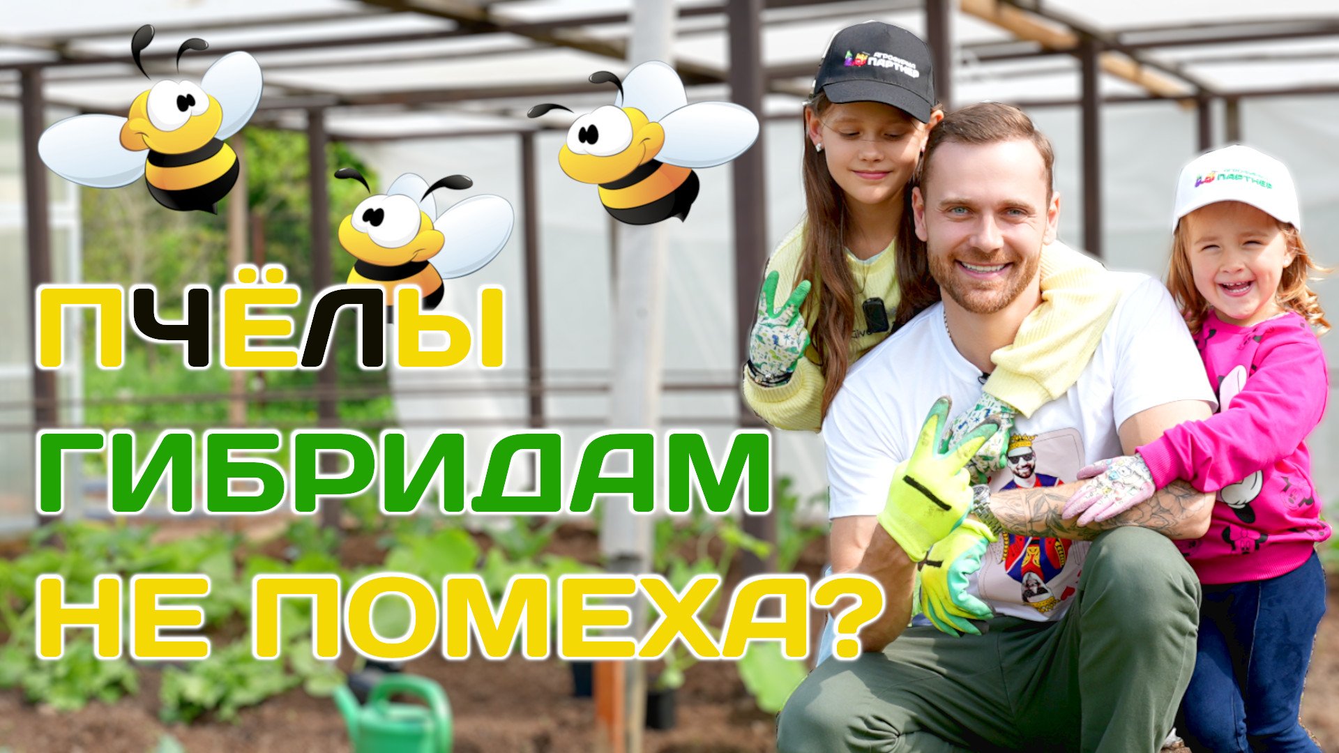 Нельзя высаживать рядом пчелоопыляемые и партенокарпические огурцы! Так ли это на самом деле?