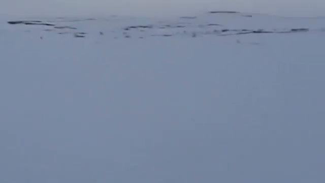 Зимняя рыбалка на Кольском п-ве 2012г на озере Лямт. смотреть онлайн