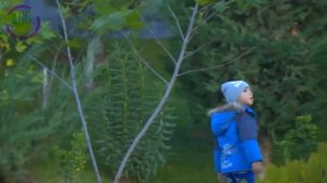 НА ЧТО ПОСМОТРЕТЬ В ТУРКМЕНИСТАНЕ? КРАСИВЫЕ МЕСТА ТУРКМЕНИСТАНА