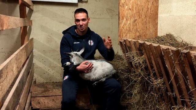 Козочка Ангелина на Экоферме Захаровых | Как козлята приходят во взрослую жизнь смотреть онлайн