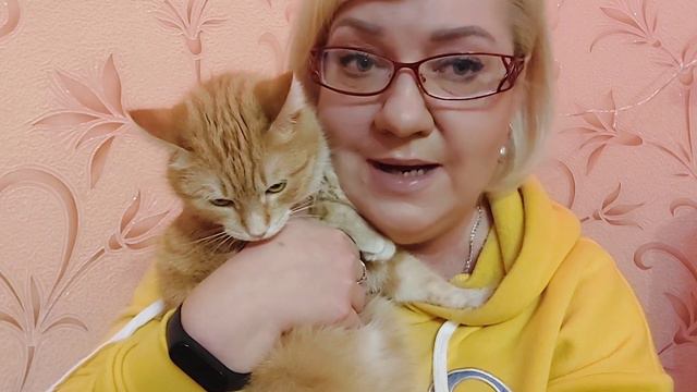 ДОХОД И РАСХОД ГАЯНЫ. ХОЧЕТСЯ ПЛАКАТЬ. ЧЕТВЕРОНОГИЕ ДРУЗЬЯ.