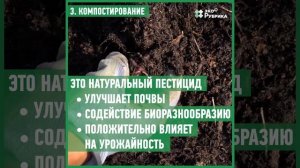 Как правильно утилизировать органические отходы и приготовить компост