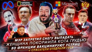 Мэр запретил снегу выпадать / Женщина покормила кота грудью / Во Франции вакцинируют устриц