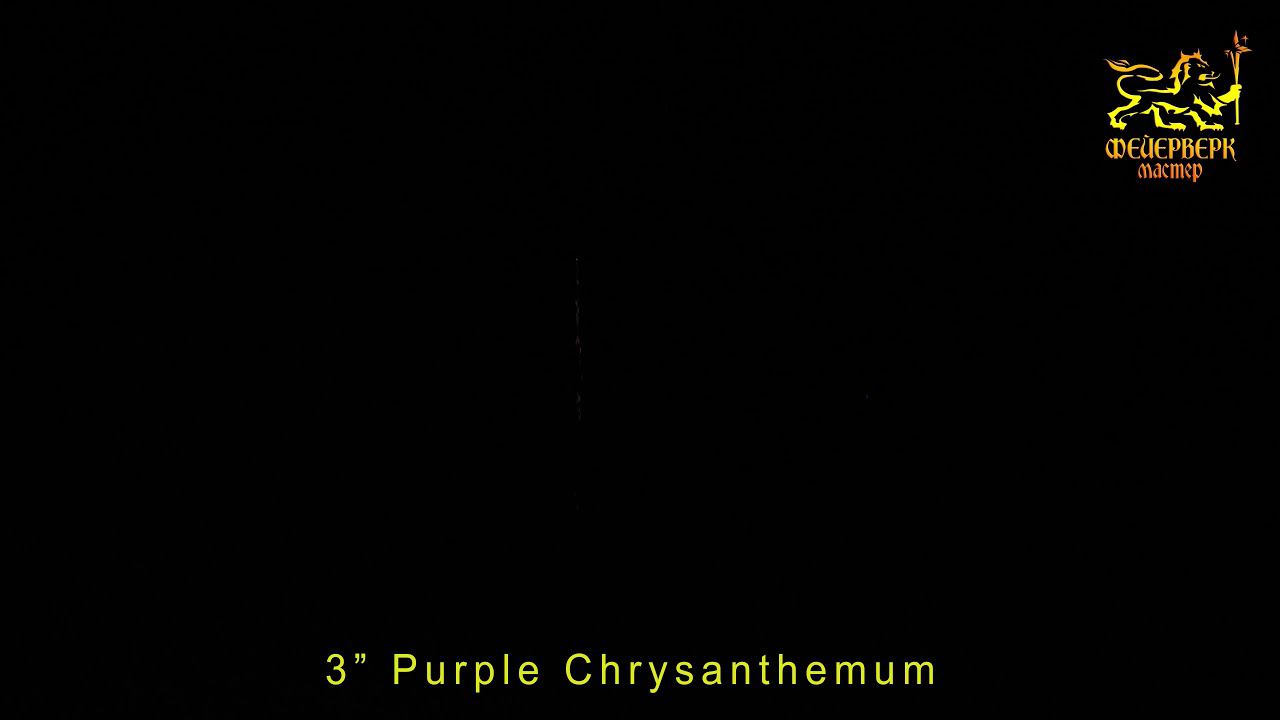 3" Purple Chrysanthemum