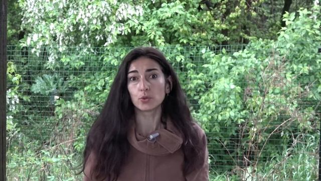 Как понимать лошадь?