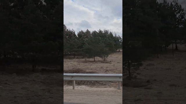 Разлив Протвы март 2023г. смотреть онлайн