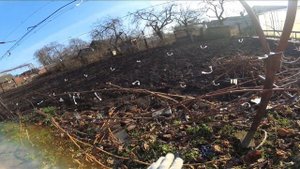 Осенняя обрезка винограда ( часть 3).Формировка петлей.веером.смещенная зона плодоношения.