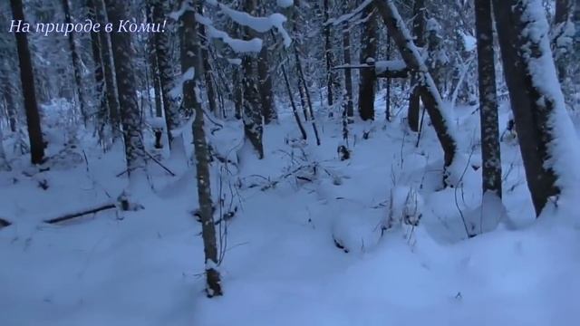 Первый поход до избы на лыжах /6 серия/ смотреть онлайн