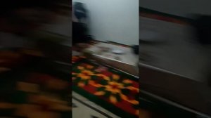 насиба жалеп 85 канлыкол