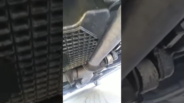 Ford Fusion Torque Strut