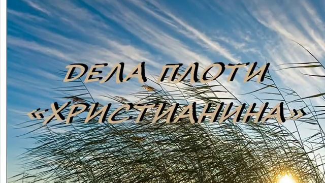 ДЕЛА ПЛОТИ «ХРИСТИАНИНА» смотреть онлайн