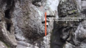 ЦЕНЫ НА НЕДВИЖИМОСТЬ ВО ВЬЕТНАМЕ В ПУБЛЯХ | КУПИТЬ КВАРТИРУ У МОРЯ | НЯЧАНГ ЦЕНА КВАРТИР