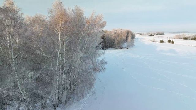 Акколь - Зимний лес - Рассвет