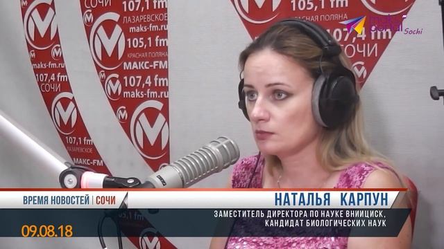 Гусеница американской белой бабочки продолжает пожирать Сочи