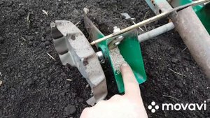 Сеялка ручная Роста. Отзыв.