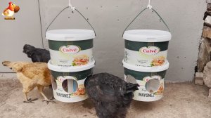 Кормушка курам из двух ведер одно на другое