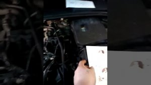 Правильная установка котла подогрева на Форд 3