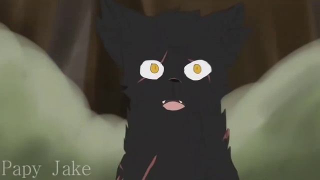 Топ 5 котов, ДОСТОИНЫХ БОЛЬШЕГО УВАЖЕНИЯ |Коты воители| смотреть онлайн