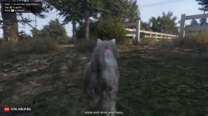 Кактус пейот 27 — GTA 5