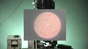 ДОМЕНЫ.ФИЗИКА.ХРОНИКА