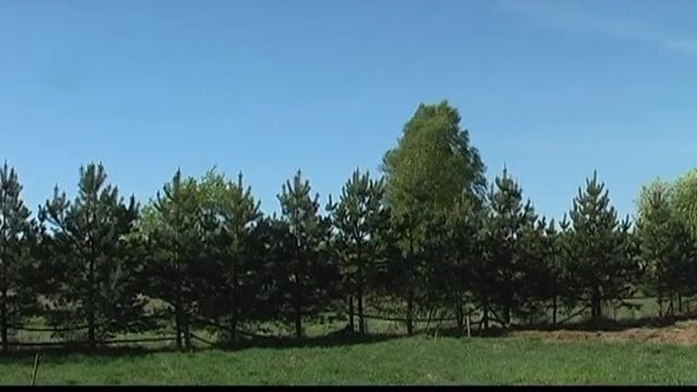 Очень живая изгородь-1 смотреть онлайн