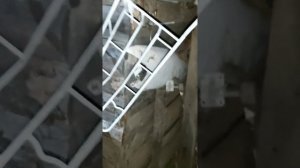 Покраска мопеда дельта.