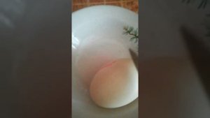 Овоскопирование индоутиных яиц. Как выглядит замершее яйцо. Развитие остановилось.
