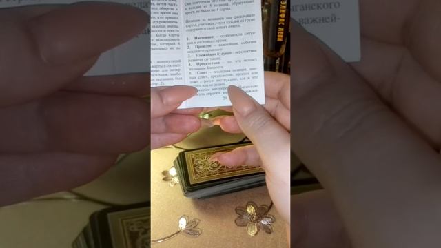 Обзор колоды Цыганский оракул. Оракул Сивиллы.