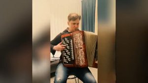 Аккордеон Barcarole Professional