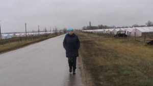 Китайские парники  в конце сезона