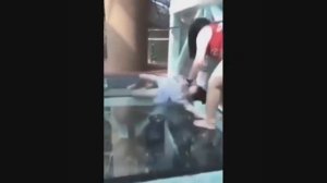 Не каждый сможет прогуляться по такому мосту!!! Прозрачный мост в Китае \\\ Glass bridge
