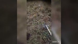 Два выезда в одном