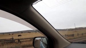 Поездка в село Залог Качугский район Иркутская обл, Сибирская осень 29 30,10,2021