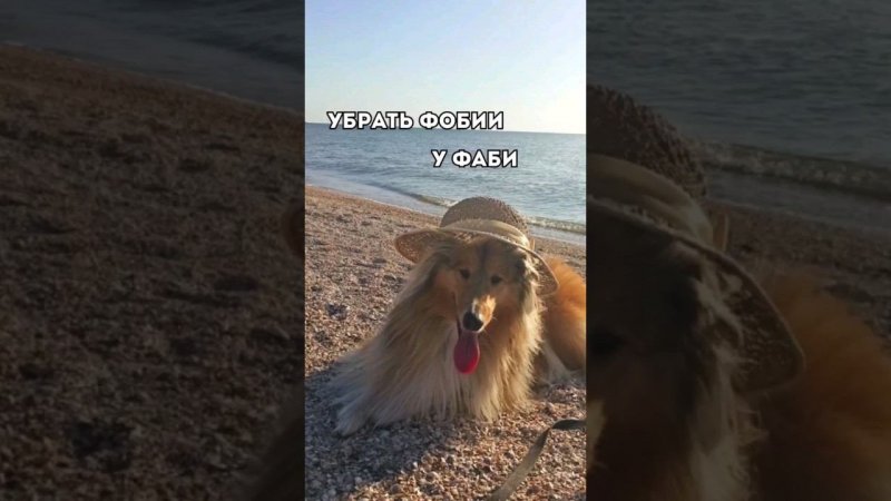 УБРАТЬ ФОБИИ У ФАБИ