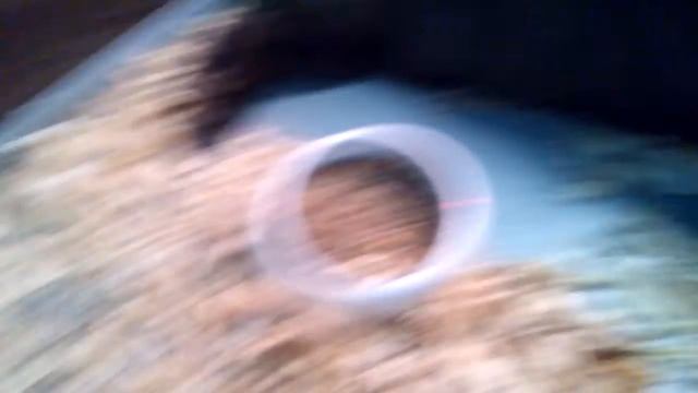 Советский Мардер (радянський мардер) КРОЛИК, порода смотреть онлайн